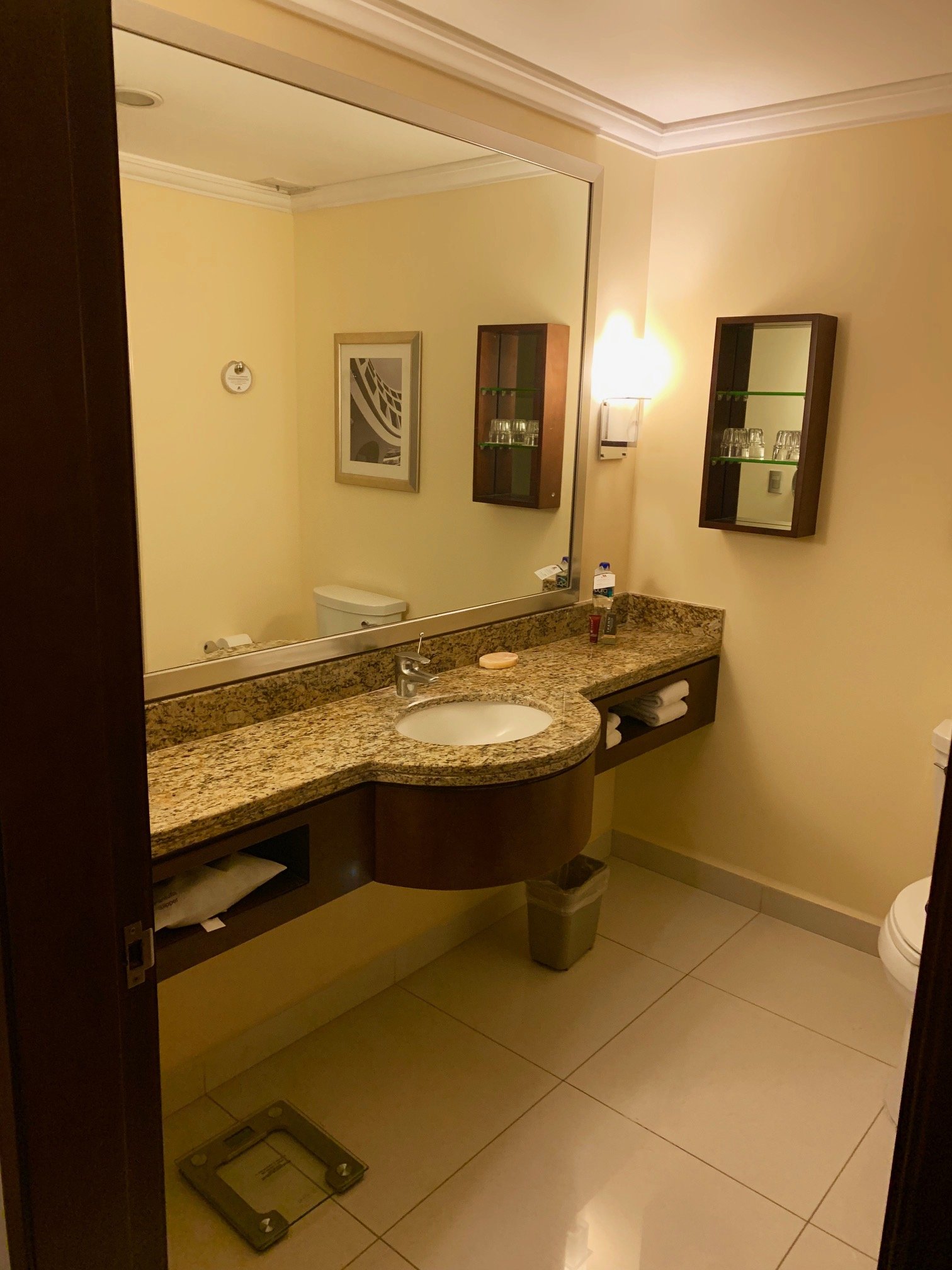 Aguascalientes Marriott Hotel-浴室