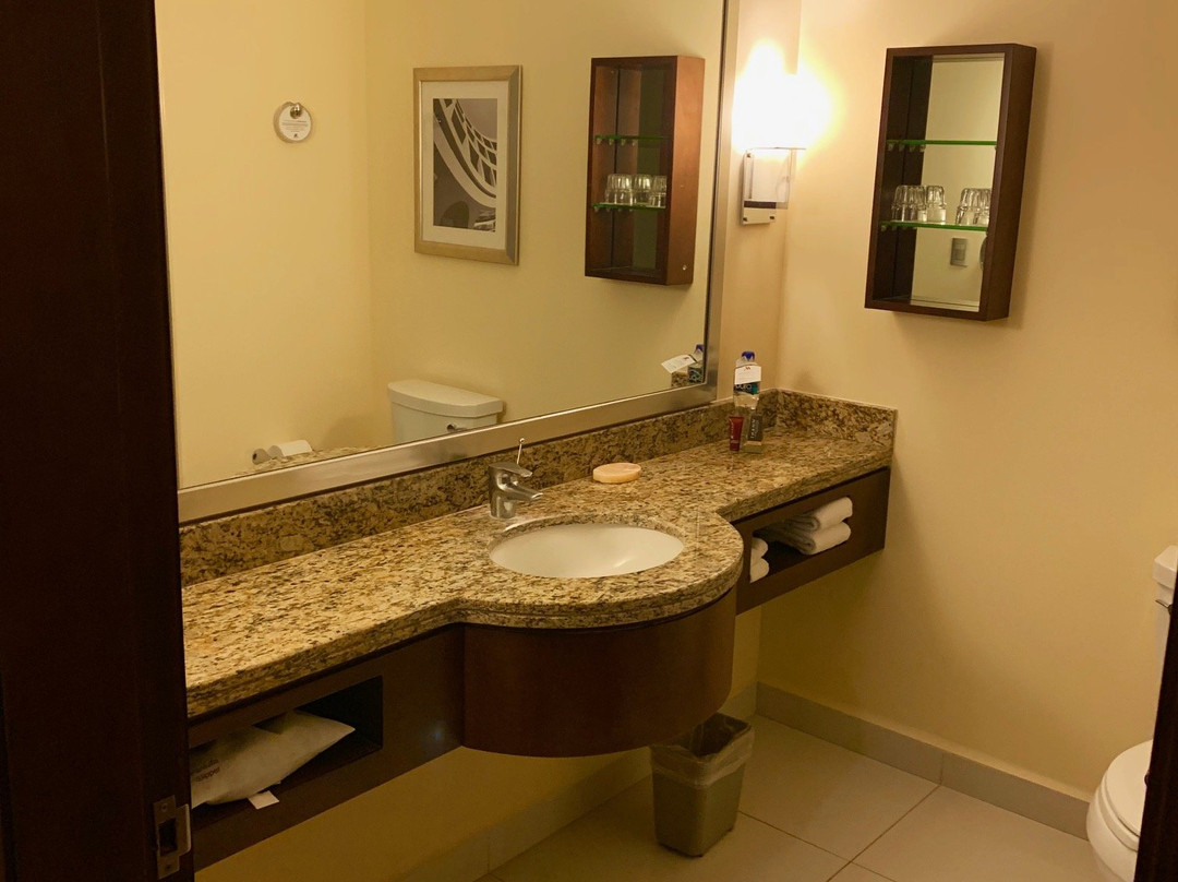 Aguascalientes Marriott Hotel主图