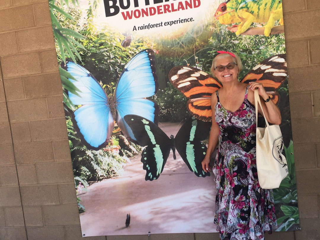 Butterfly Wonderland景点图片