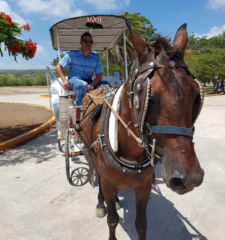 Guardalavaca Flea Market-Guardalavaca必去景点
