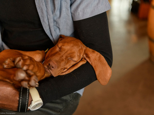 Elsom Cellars-西雅图必去景点