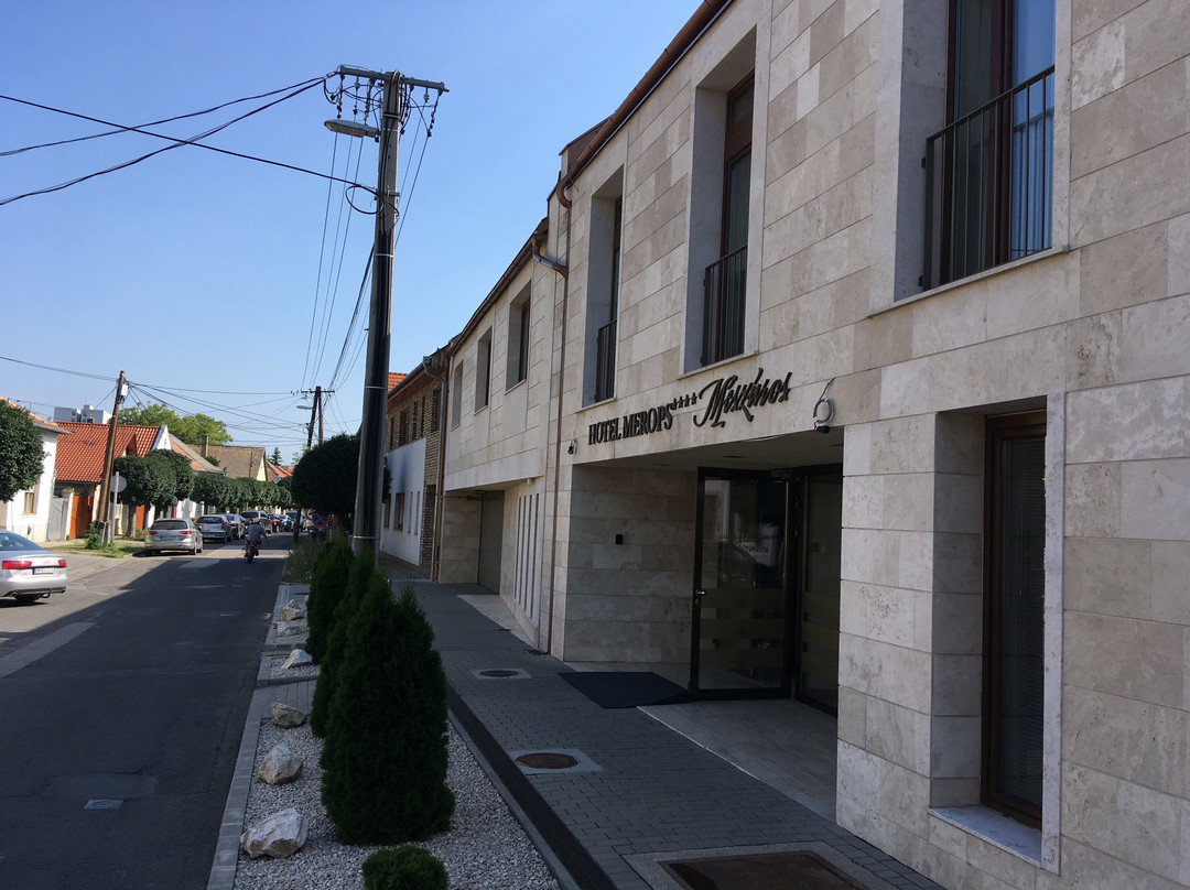 Hotel Merops Meszaros主图