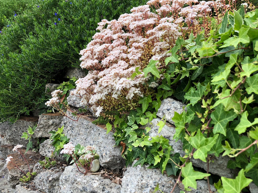 At The Shore B&B主图