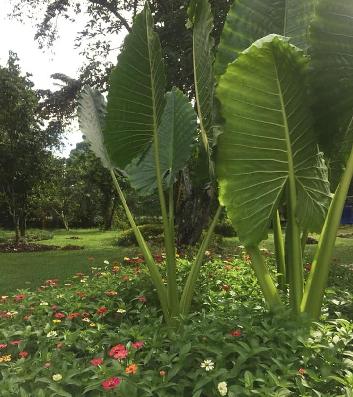 Bukidnon Country Lodge主图