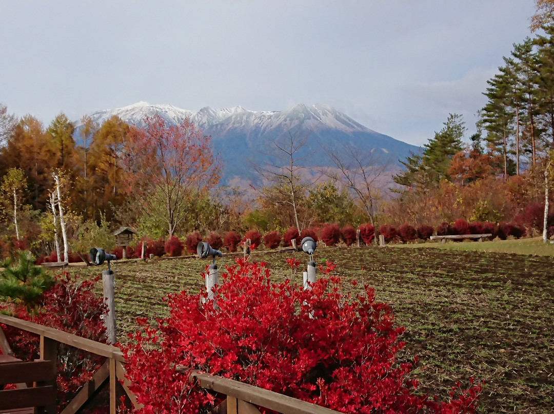 Tsutaya Tokinoyado Kazari主图