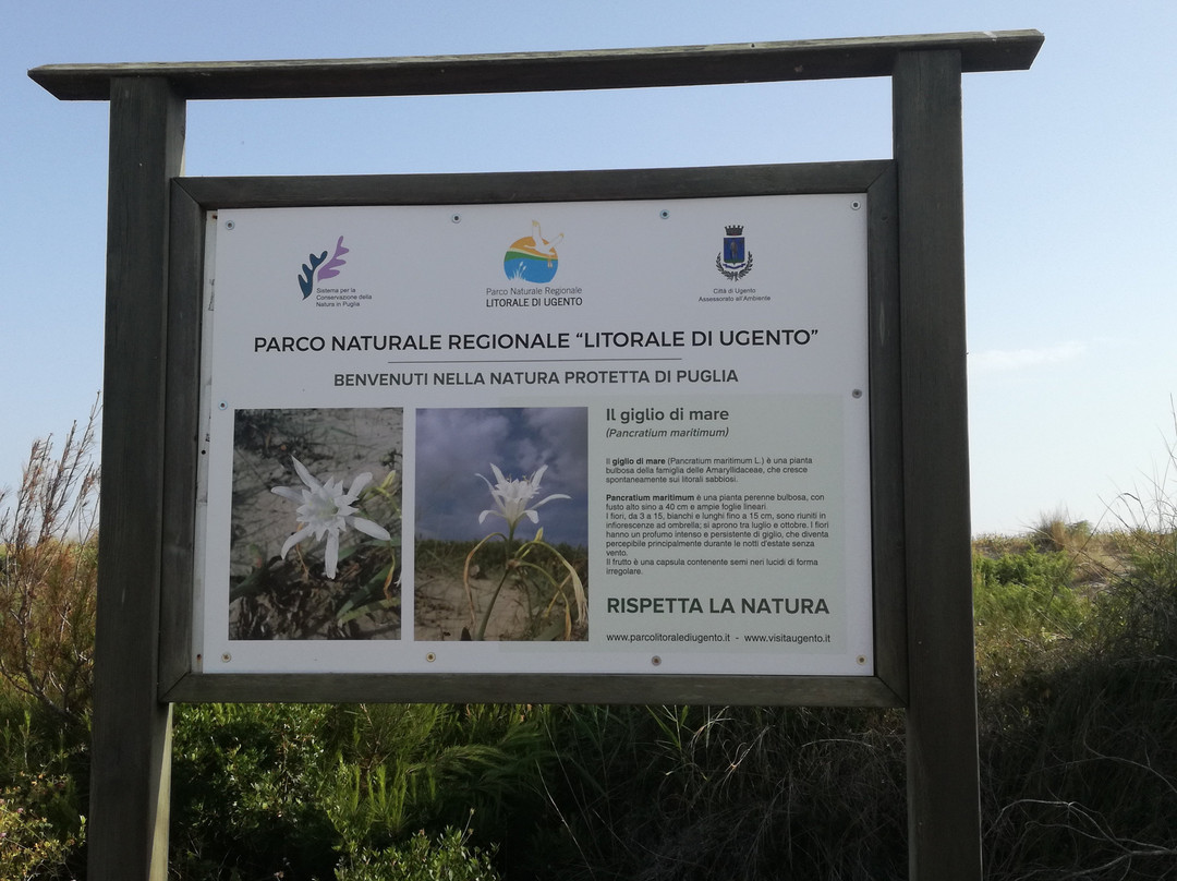 Parco Naturale Regionale Litorale di Ugento景点图片