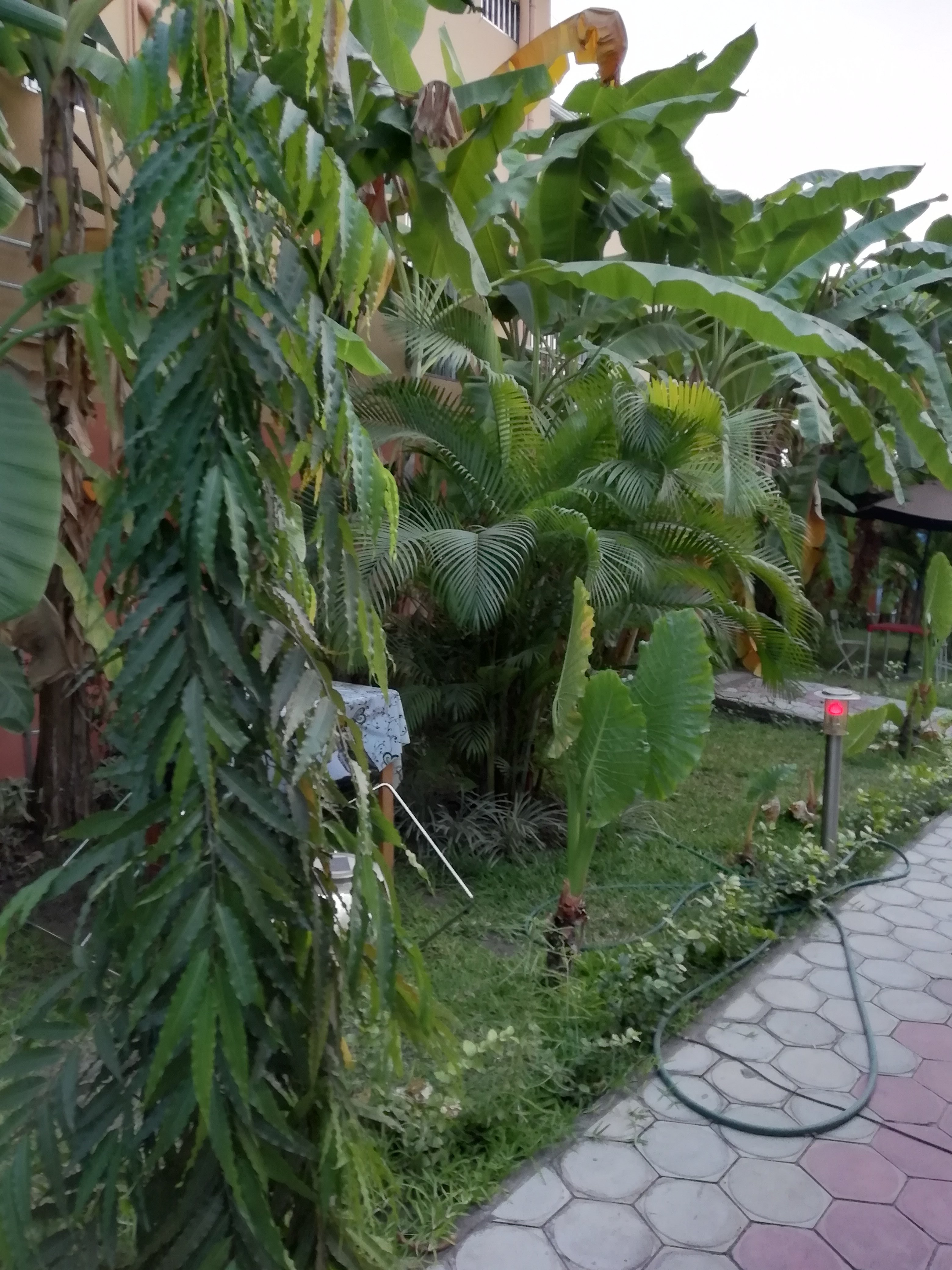 Hotel Georges Inn-浴室