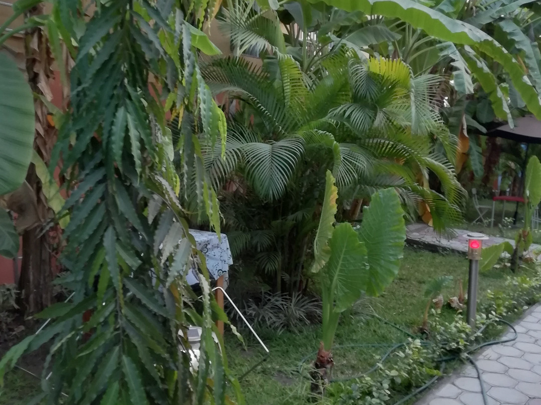 Hotel Georges Inn主图