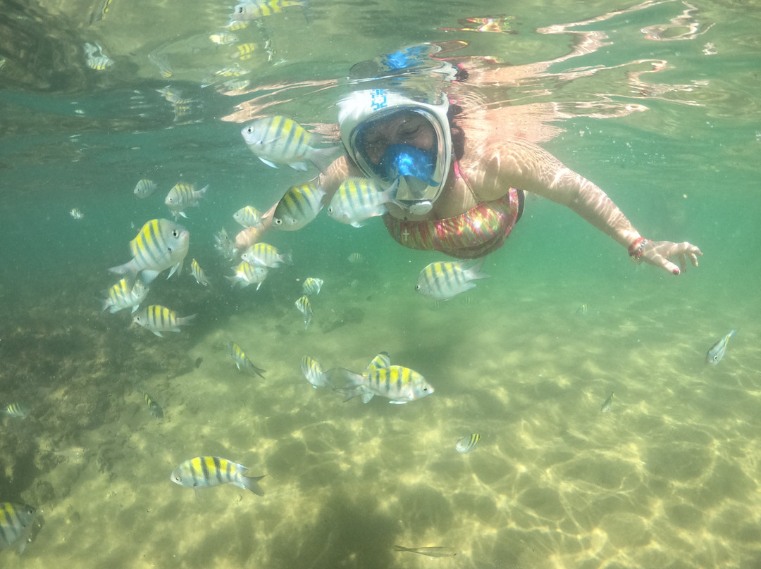 Mergulho Easy-普拉亚多海滩必去景点