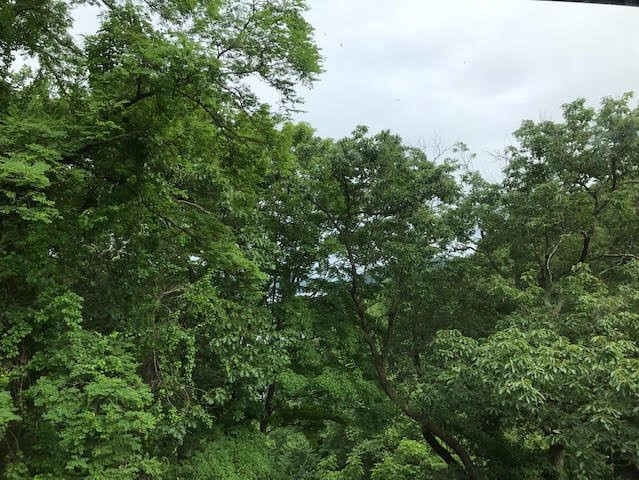 Bear Mountain Inn & Overlook Lodge主图