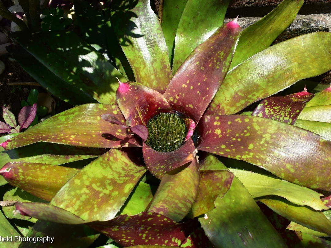 Rumah Dharma 2 Riverside主图