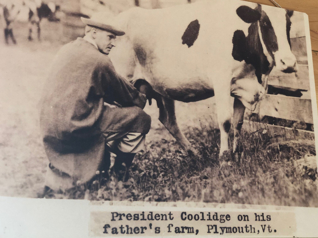 Plymouth Artisan Cheese-Plymouth必去景点