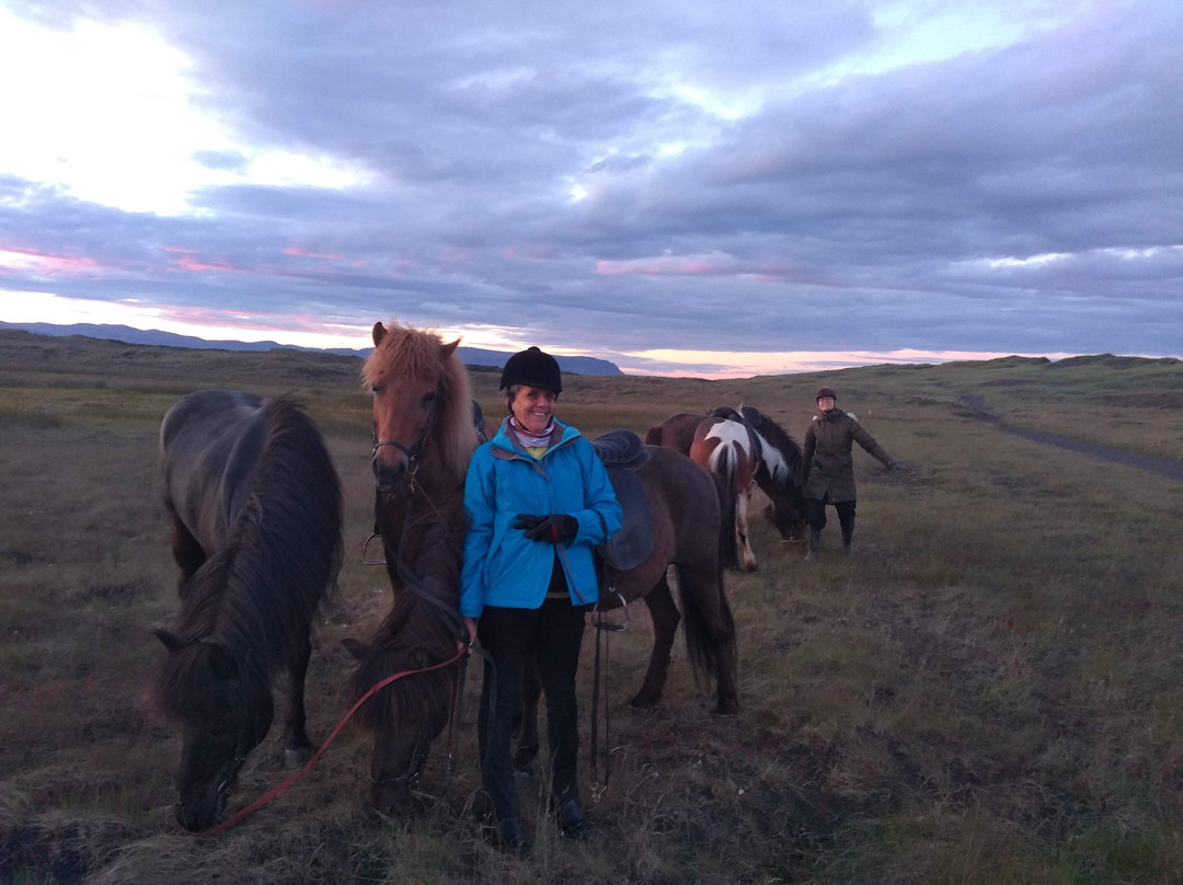 Alhestar Horse Rental and Tours-Thorlakshofn必去景点