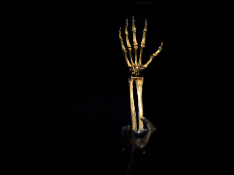 Museo Archimede e Leonardo – Siracusa-锡拉库扎必去景点