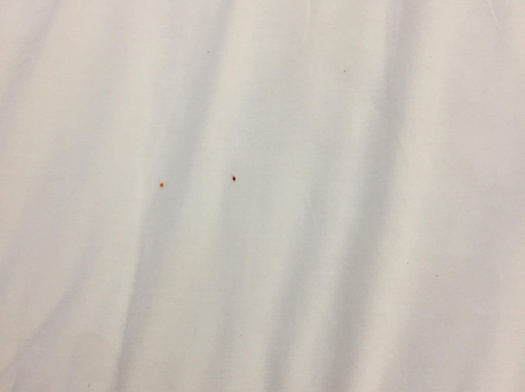 Baymont By Wyndham Bellevue/omaha主图