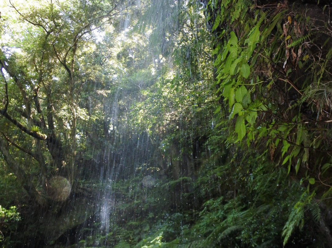 Uramiga Falls-八丈町必去景点