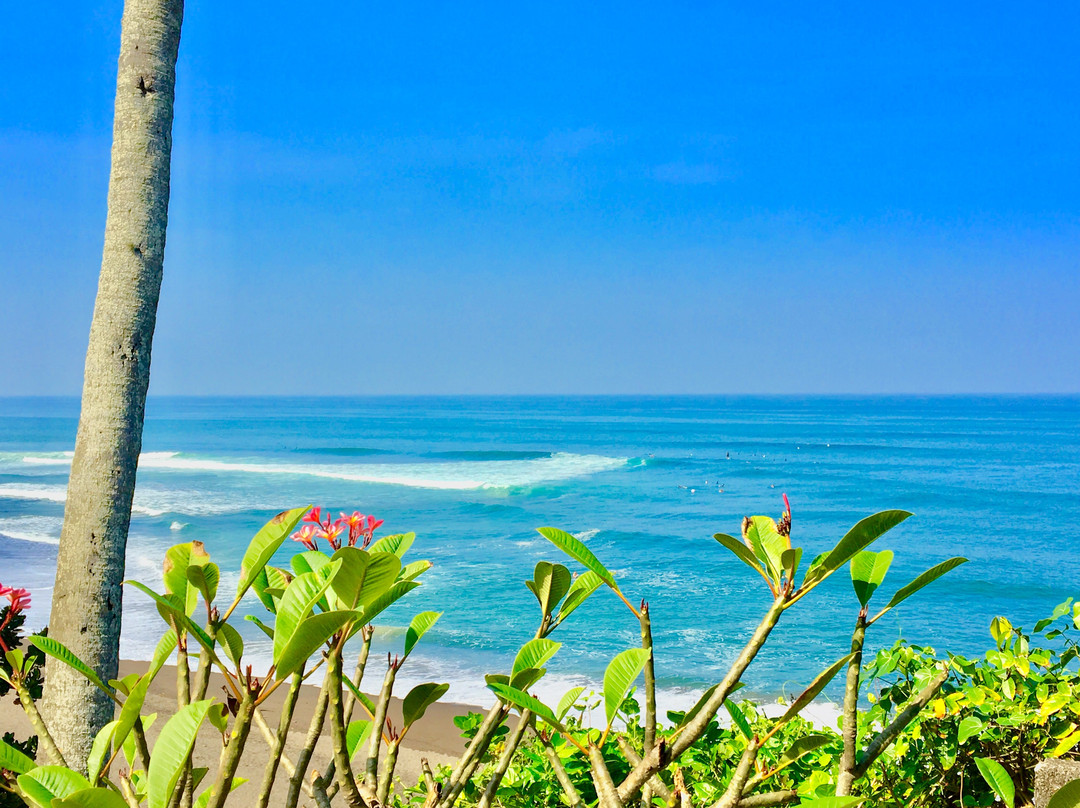 Pandawa Surf Tours景点图片