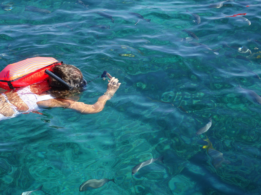 Royalton Hicacos Varadero Resort & Spa主图