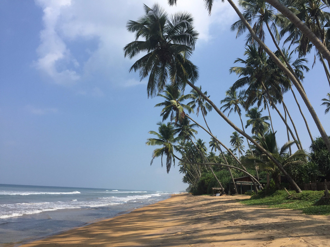 礁别墅及水疗中心酒店主图