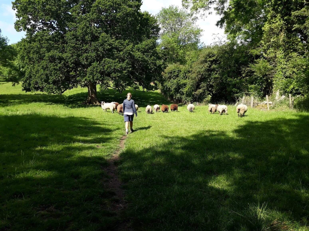 The Howard Arms主图