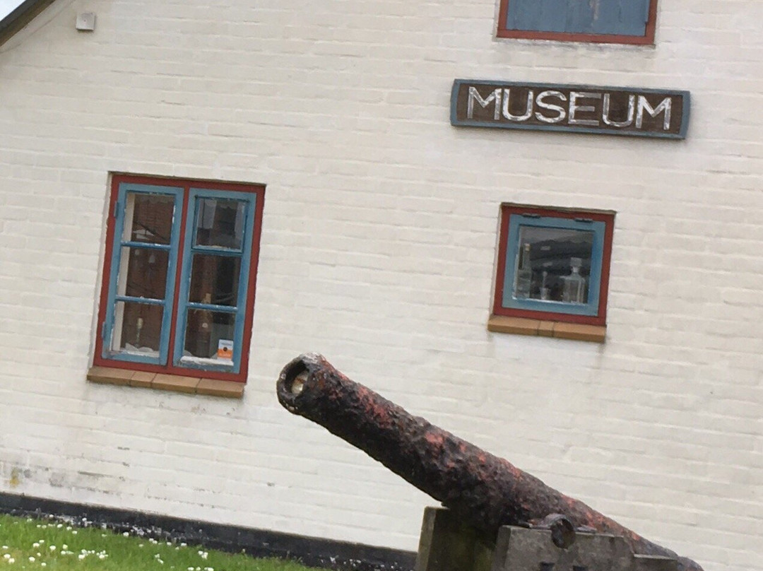 Vendsyssel Historiske Museum景点图片