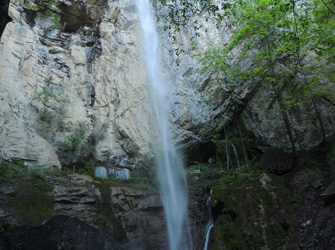 Mulibach Falls景点图片