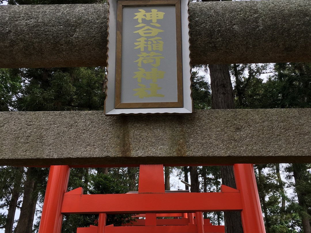 Kamiya Inari Shrine景点图片