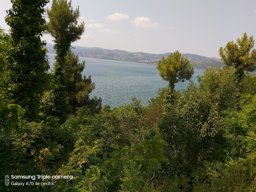 Sakarya Il Ormani Tabiat Parki-Sapanca必去景点