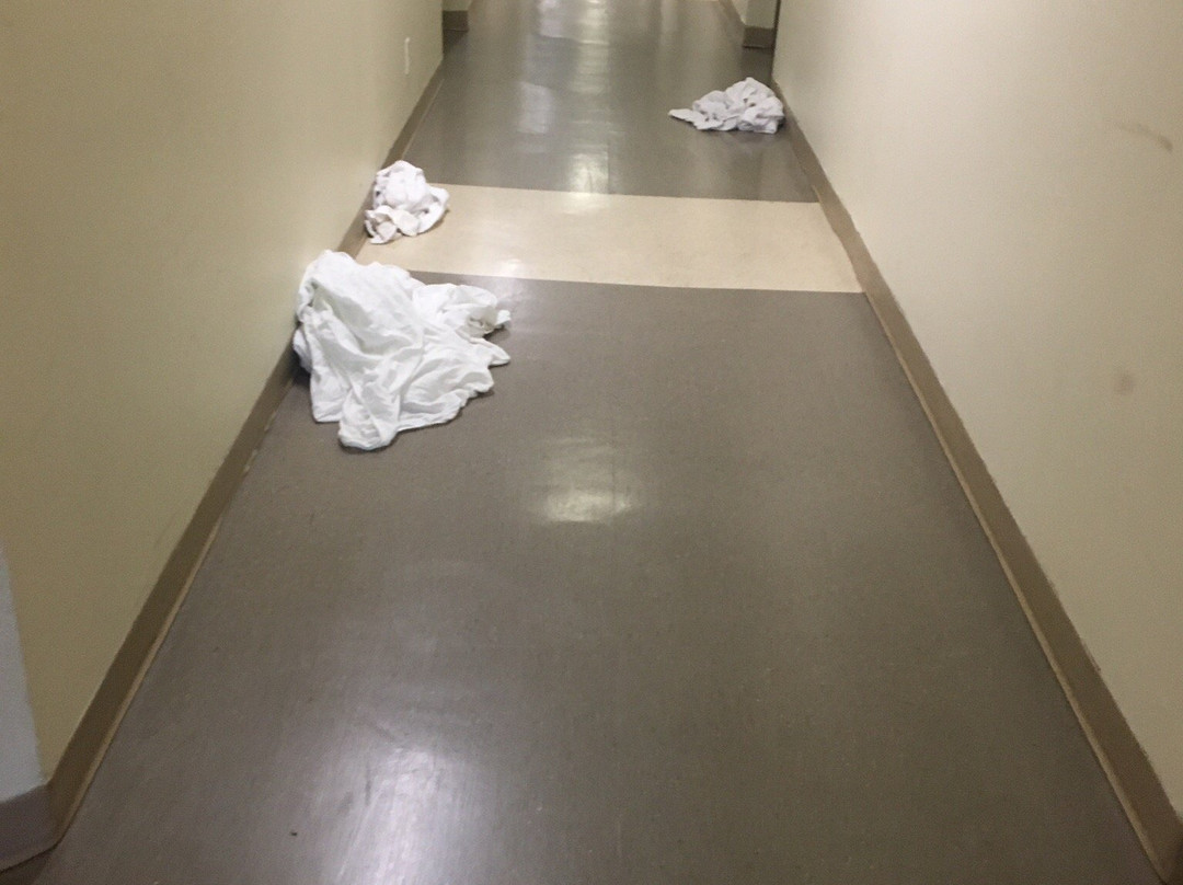 Residence & Conference Centre - Ottawa West主图