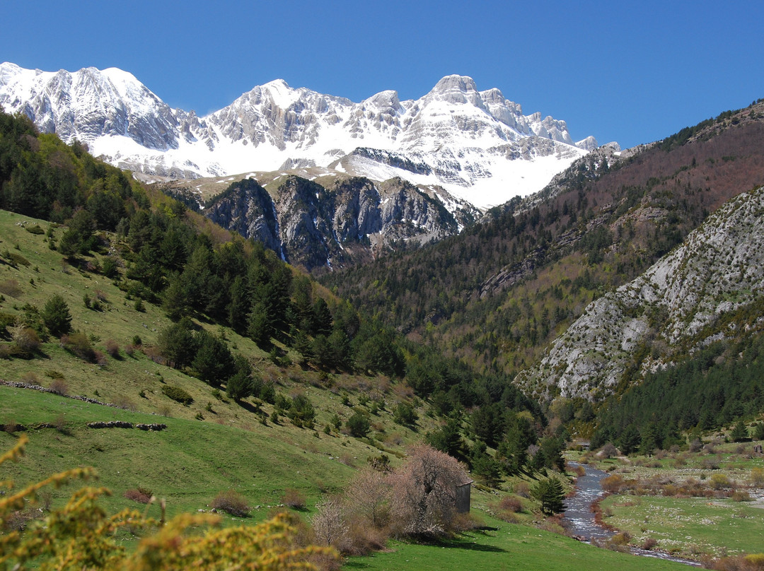 Hotel De Montana Uson主图