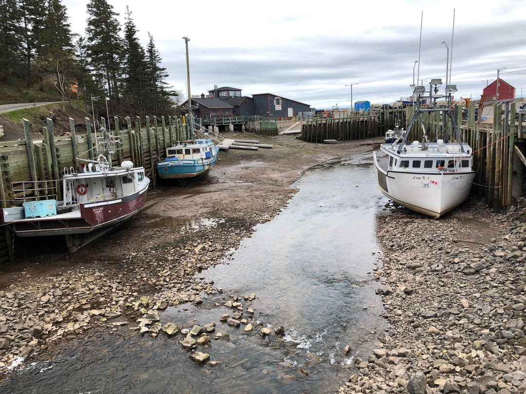 Blue Diamond Tours-哈利法克斯必去景点