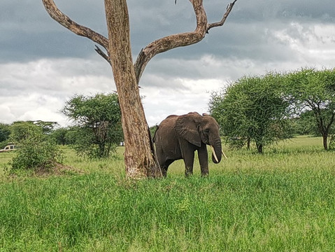 ZAFRICA TOURS AND SAFARIS-石头城必去景点