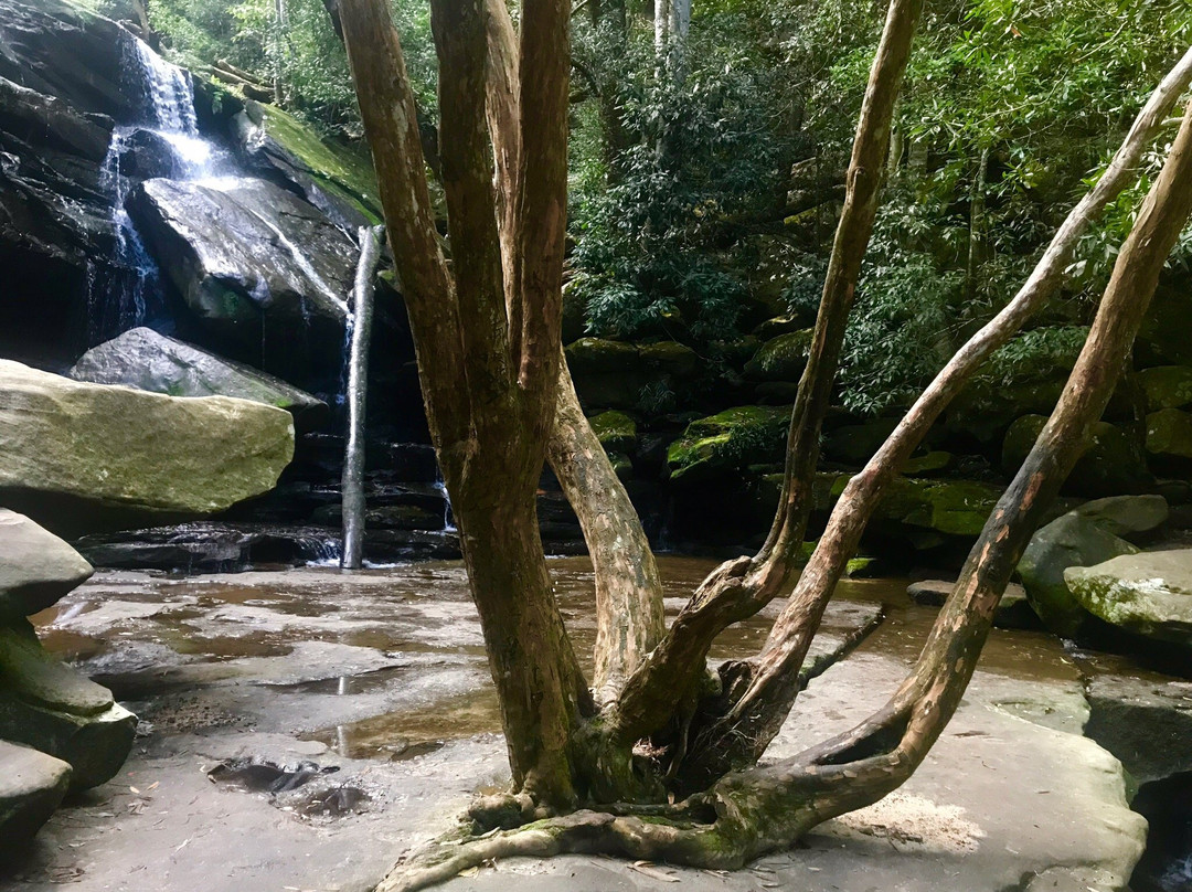 Somersby Falls Picnic Grounds景点图片