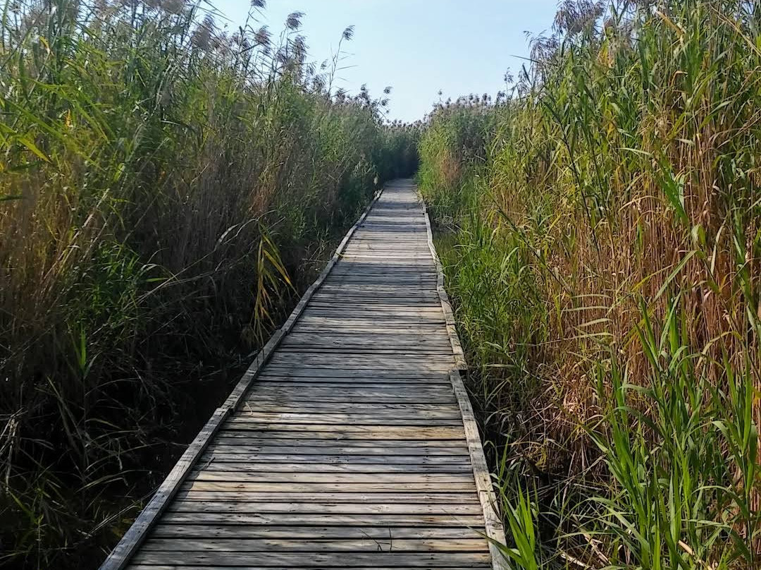 Sea Rim State Park-Port Arthur必去景点