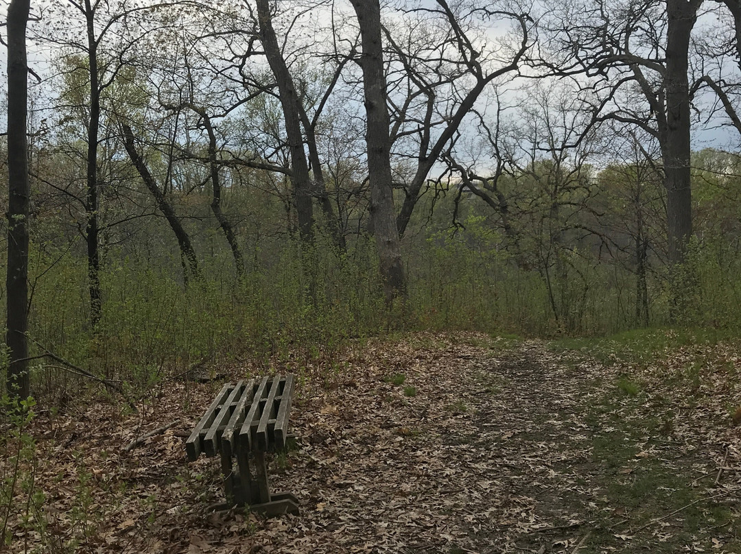 Tamarack Nature Preserve景点图片
