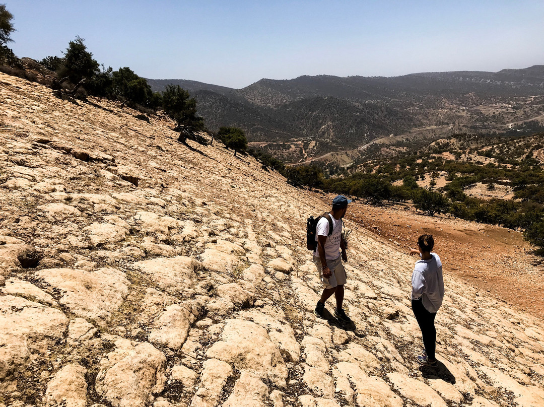 Tawada Hiking-奥瑞尔必去景点