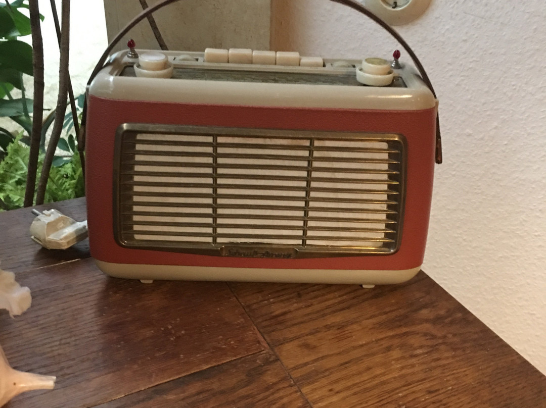 Parkhotel 1970主图