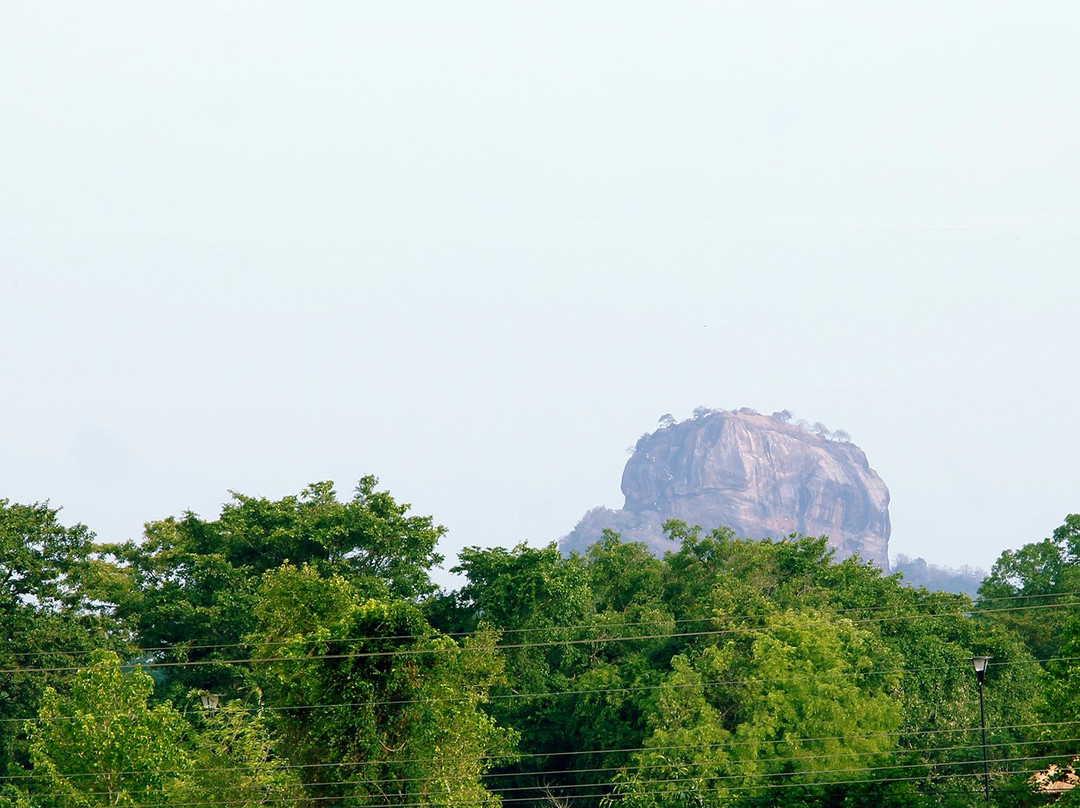 Seerock the King's Domain主图