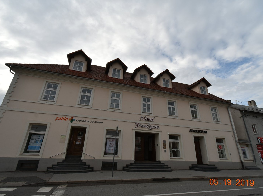 Hotel Frankopan主图