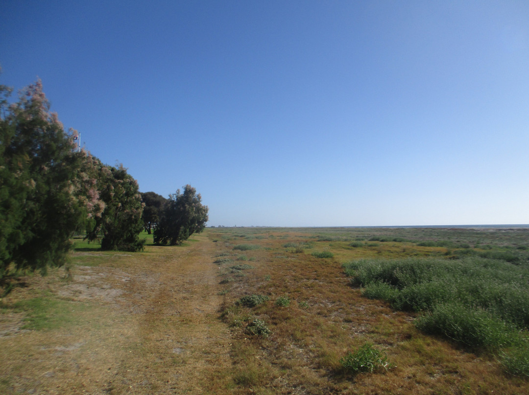 Kingston SE Beach-金斯顿镇必去景点