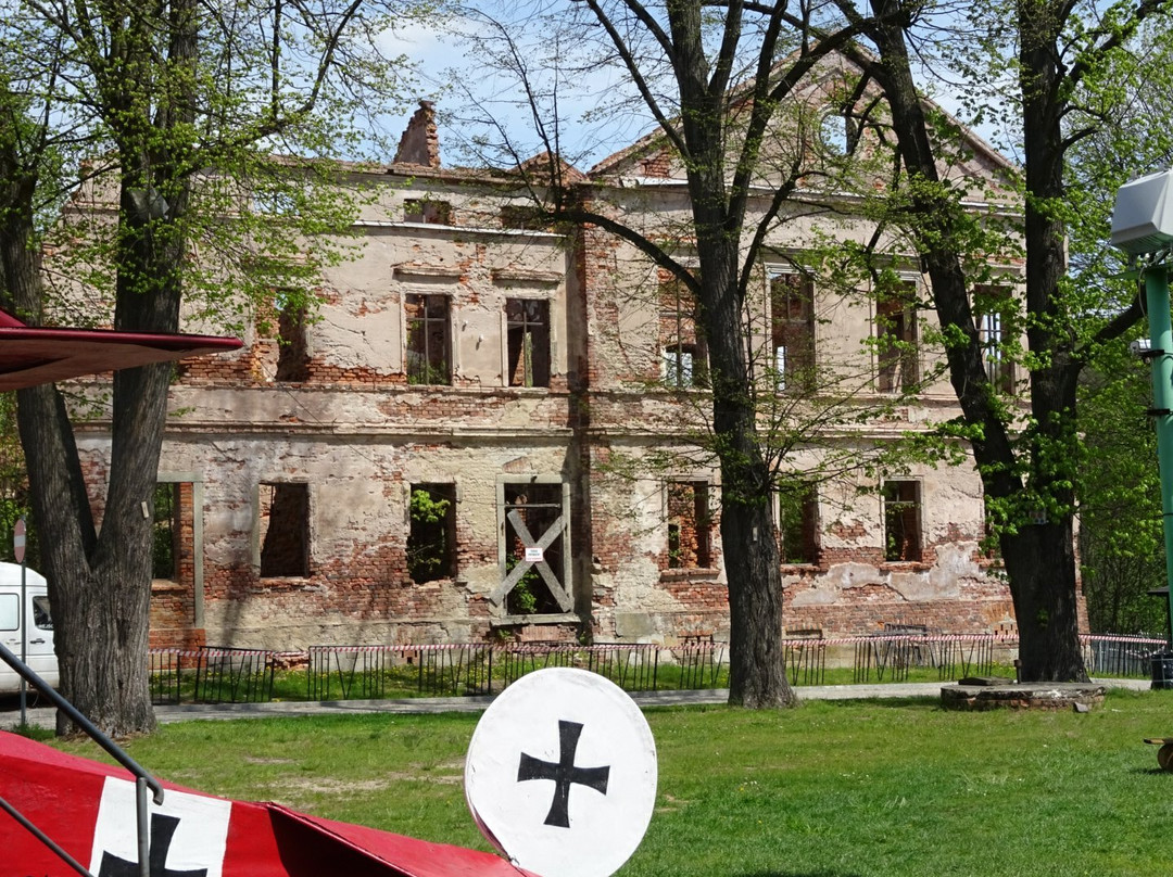 Pałac Jedlinka景点图片