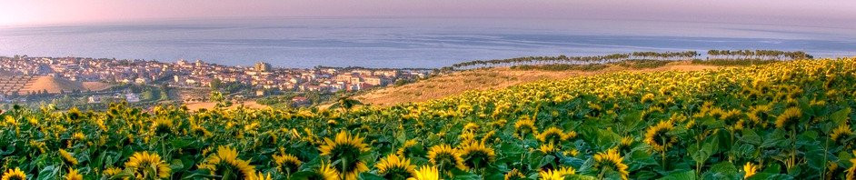 IAT Pineto - Informazione & Accoglienza Turistica-Pineto必去景点
