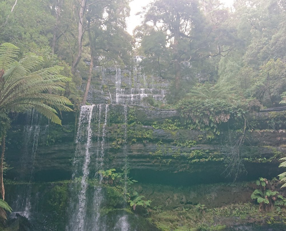 Myrtle Forest景点图片