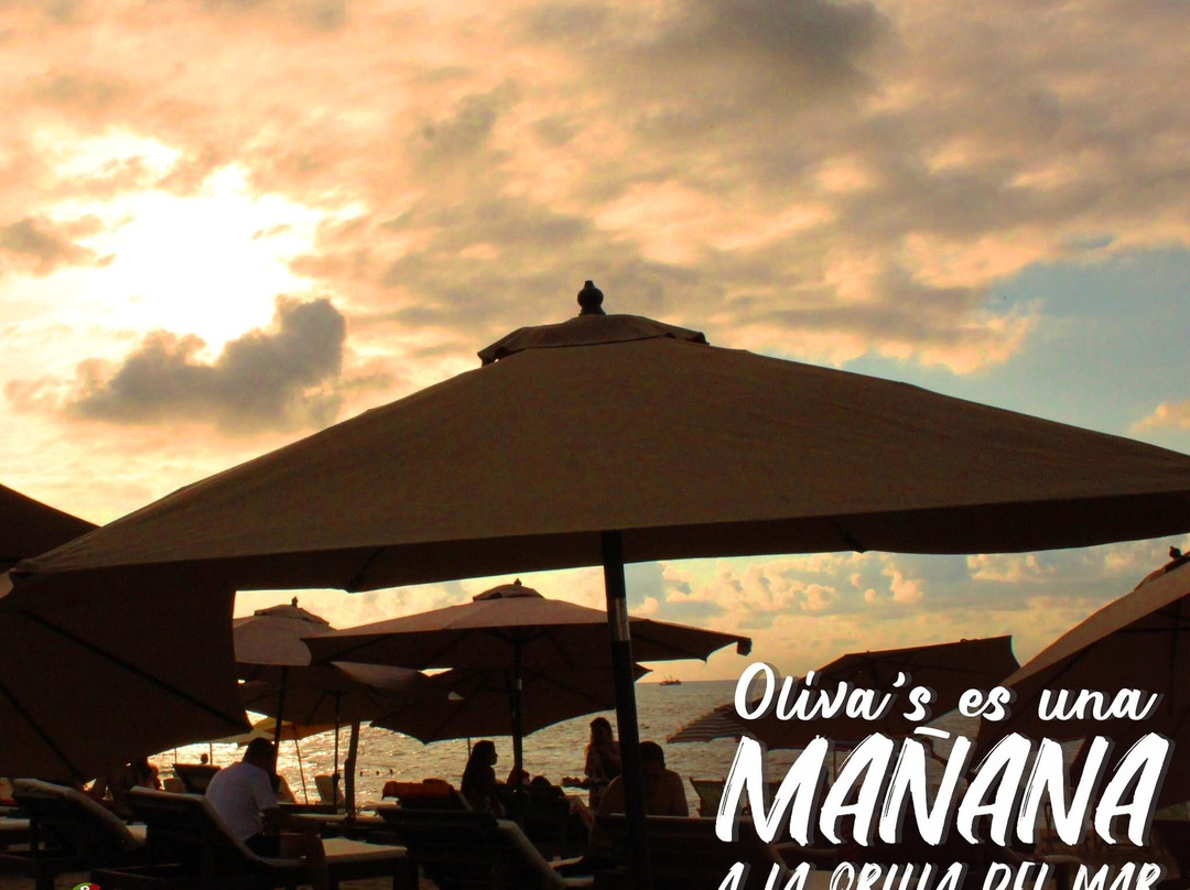 Oliva's Restaurant-bar