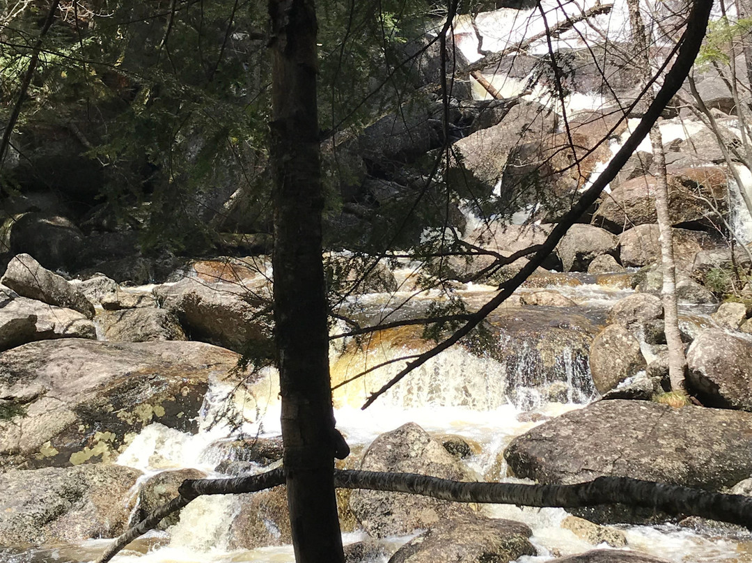 Georgiana Falls景点图片