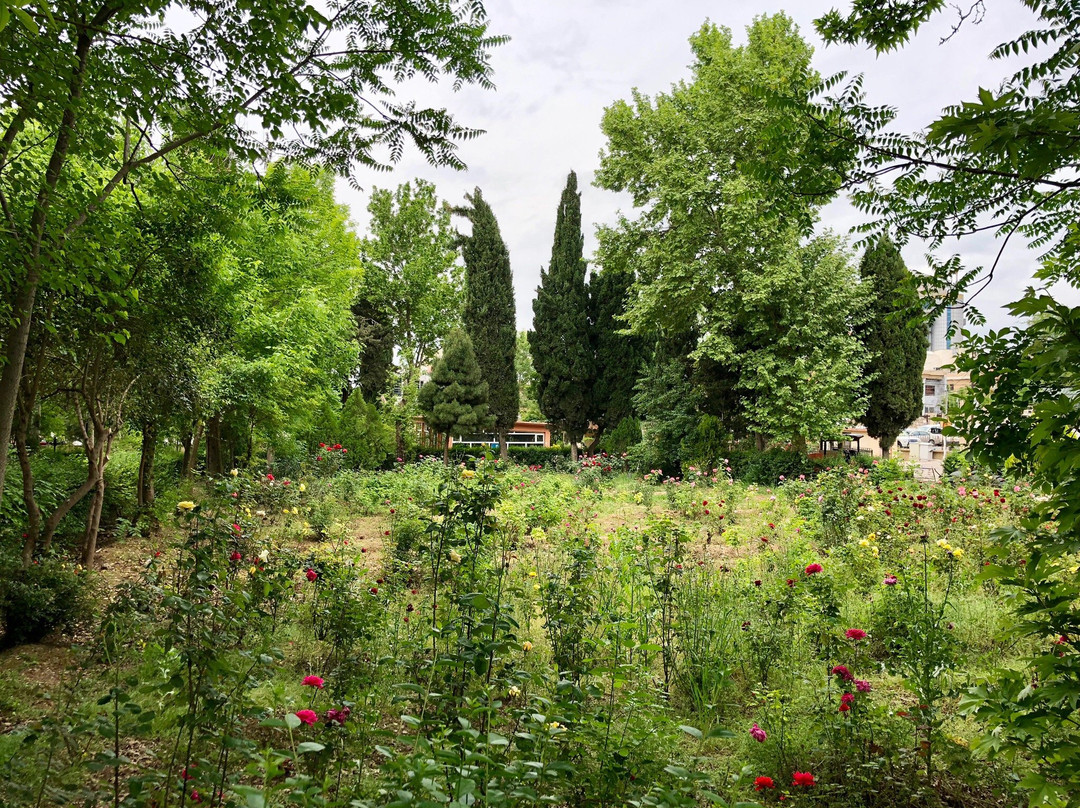 Bakhi Gshty-苏莱曼尼亚必去景点
