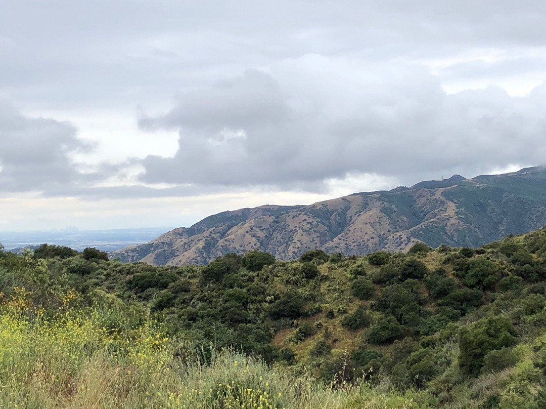 Claremont Hills Wilderness Park景点图片