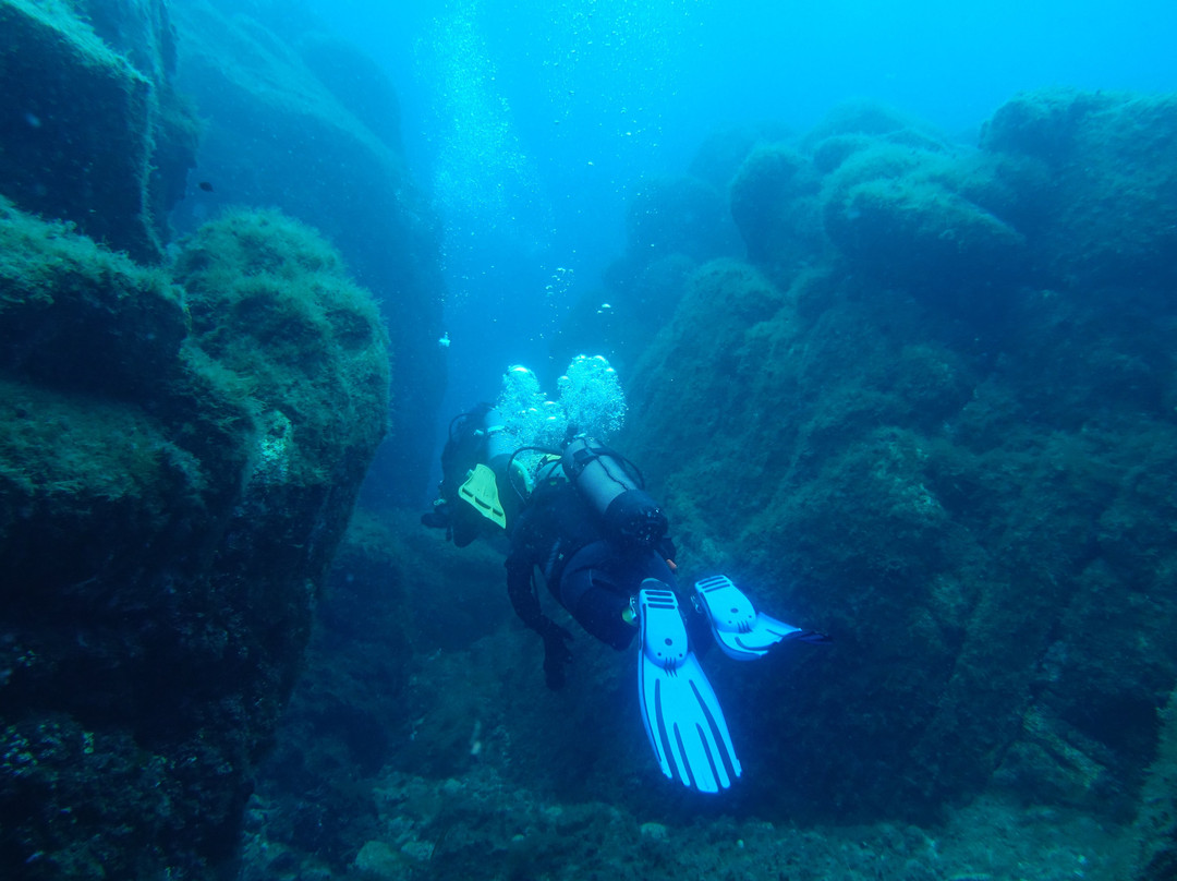 Nautilus Diving Center景点图片