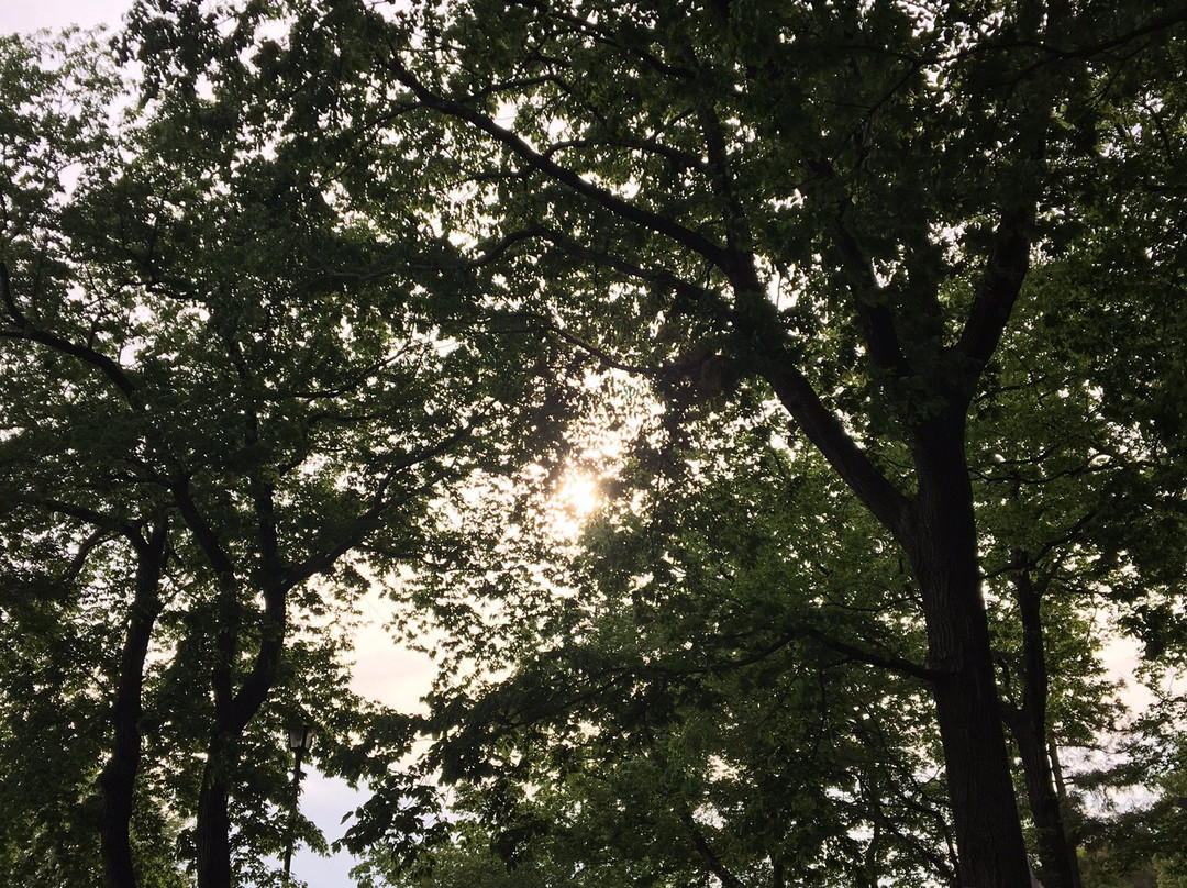 Higashimatsuyama Peony Garden-东松山市必去景点