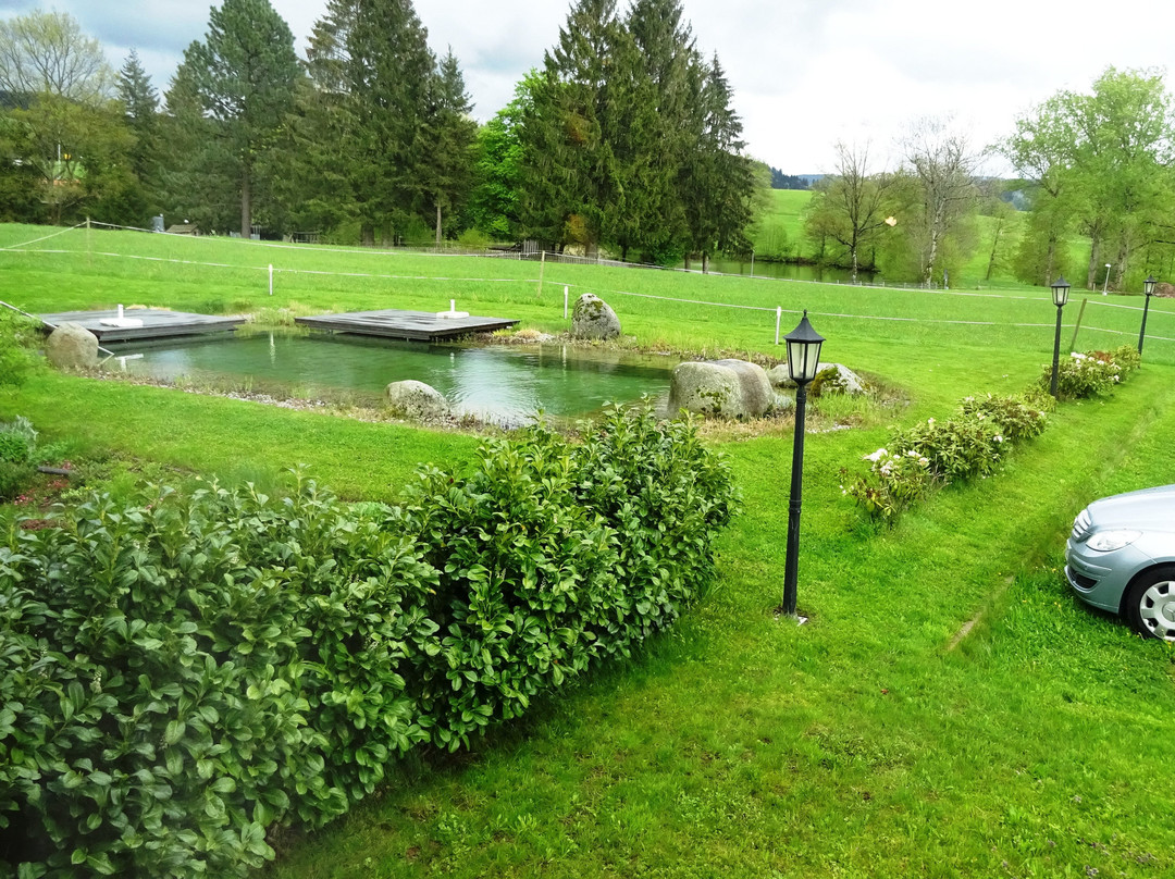 Hotel Jägerhaus主图